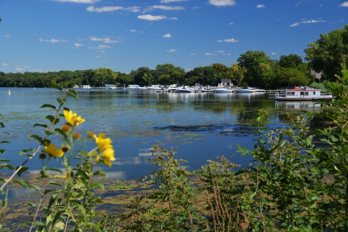 Maxwell Bay marina